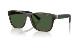 Polo PH4229U 607071 56