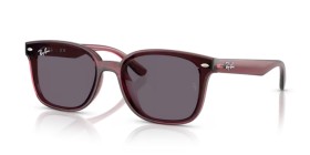 Ray-Ban RB4461D 659373 64