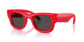 Ray-Ban Wayfarer puffer RB4940 683187 47