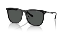 Emporio Armani EA4255D 500187 56