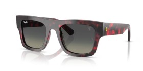 Ray-Ban RB2217M F70511 53