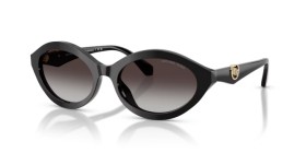 Michael Kors Carlazzo MK2257U 30058G 55