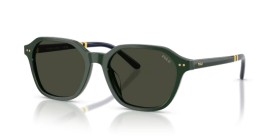 Polo PH4234U 614082 54