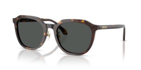 Versace VE4493D 108/87 55