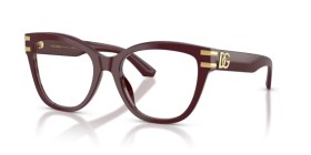 Dolce & Gabbana DG3418 3091 55