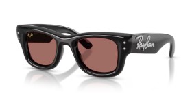 Ray-Ban Wayfarer Puffer RB4940B 686485 47