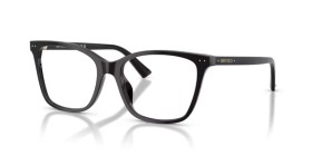 Jimmy Choo JC3048U 5000 52