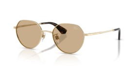 Burberry BE3173D 110973 51
