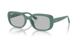 Ray-Ban RB4421D 676287 56