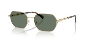 Michael Kors Saint Martin MK1165 10143H 57