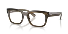 Ray-Ban Chad RX7217 8468 52