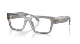 Versace VE3374U 5510 55