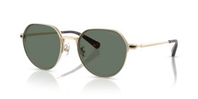 Coach HC7179 90053H 52
