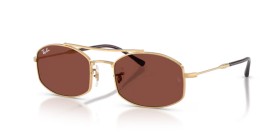 Ray-Ban RB3719 001/C5 54