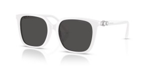Swarovski SK6053D 105087 55