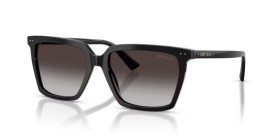 Jimmy Choo JC5051 50008G 55