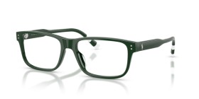 Polo Ralph Lauren PH2302U 6316 55