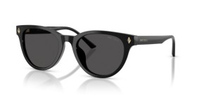 Jimmy Choo JC5043D 500087 53