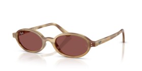 Ray-Ban RB4472 685675 48