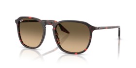 Ray-Ban RB2203 14290A 55