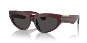 Burberry BE4425U 411587 55