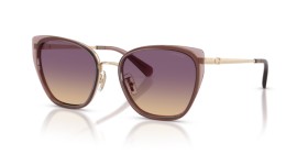 Coach HC7187 948570 53