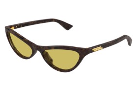 Bottega Veneta BV1414S 002 56