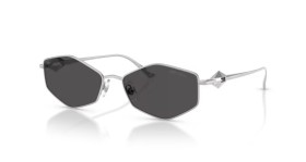 Jimmy Choo JC4017 300287 55