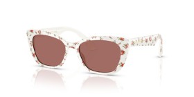 Dolce & Gabbana Kids DX4427 348769 49