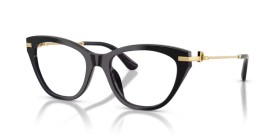 Dolce & Gabbana DG3428 501 53