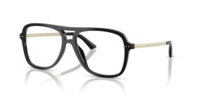 Jimmy Choo JC3052U 5000 55