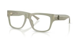 Jimmy Choo JC3049U 5082 55