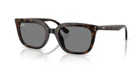 Ray-Ban RB4439D 710/87 54
