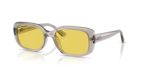 Ray-Ban RB4421D 681885 56