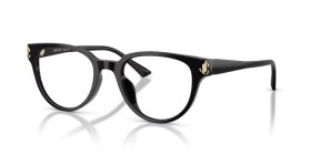 Jimmy Choo JC3051D 5000 51
