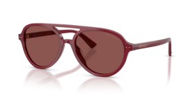 Jimmy Choo JC5055U 508175 55