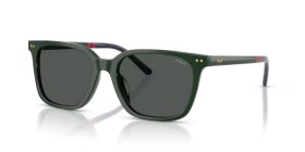 Polo PH4235U 614087 54
