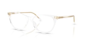 Dolce & Gabbana DG3443 3133 53