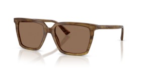 Jimmy Choo JC5051 508573 55