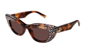 Gucci GG2031S 006 50