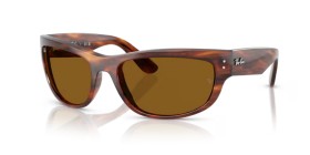 Ray-Ban Mega Balorama RB2289 954/33 63