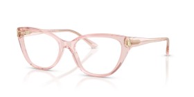 Jimmy Choo JC3011 5034 54