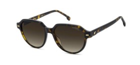 Carrera CAR 3068/S 086/HA 53