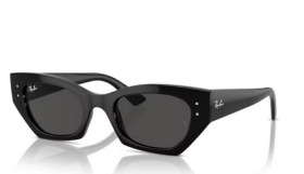 Ray-Ban Zena RB4430 667787 52