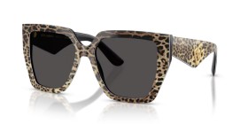 Dolce & Gabbana DG4438 316387 55