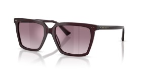 Jimmy Choo JC5051 50866X 55