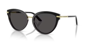 Dolce & Gabbana DG4492 32998G 55