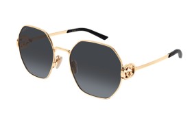 Gucci GG2046S 001 58