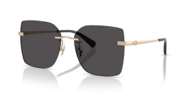 Coach HC7193D 900587 57