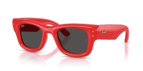 Ray-Ban Wayfarer Puffer RB4940 683187 50